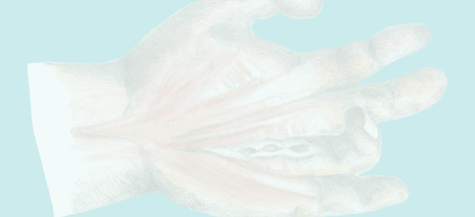parallax layer